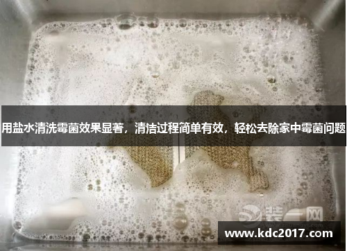用盐水清洗霉菌效果显著，清洁过程简单有效，轻松去除家中霉菌问题