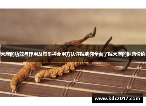 天麻的功效与作用及其多种食用方法详解助你全面了解天麻的健康价值