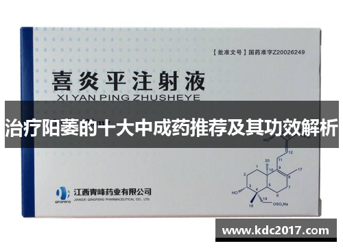 治疗阳萎的十大中成药推荐及其功效解析